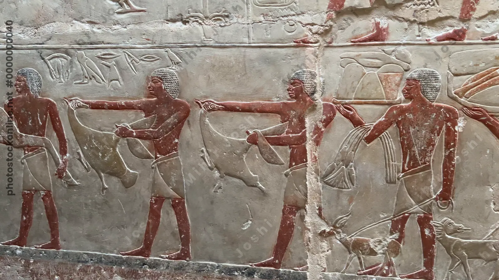 Ancient Egyptian relief from Princess Idut's mastaba in Saqqara, depicting ritual bull sacrifice as part of funerary customs.