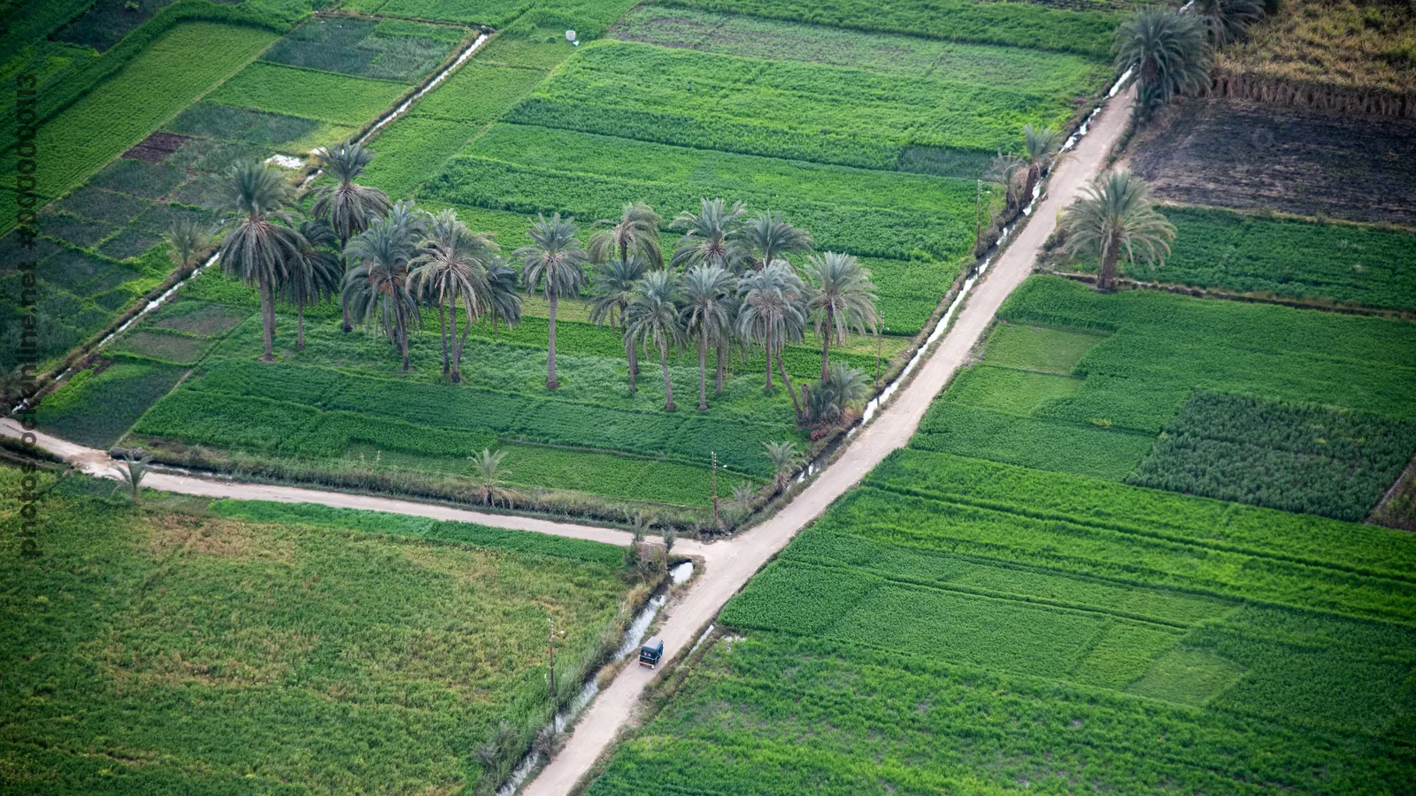 Aerial view of lush green fields with palm trees in clusters and a road cutting through the farmland near Luxor, Egypt