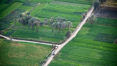 Aerial view of lush green fields with palm trees in clusters and a road cutting through the farmland near Luxor, Egypt