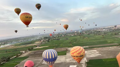 Luxor, Egypt - Feb 10, 2025: Colorful hot air balloons drifting above lush green fields at sunrise, offering a scenic aerial view of the landscape.