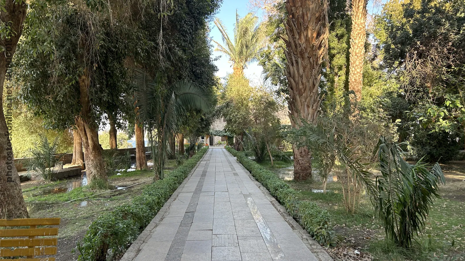 Lush greenery and exotic plants at the Aswan Botanical Garden, a serene oasis on an island in the Nile, Aswan, Egypt.