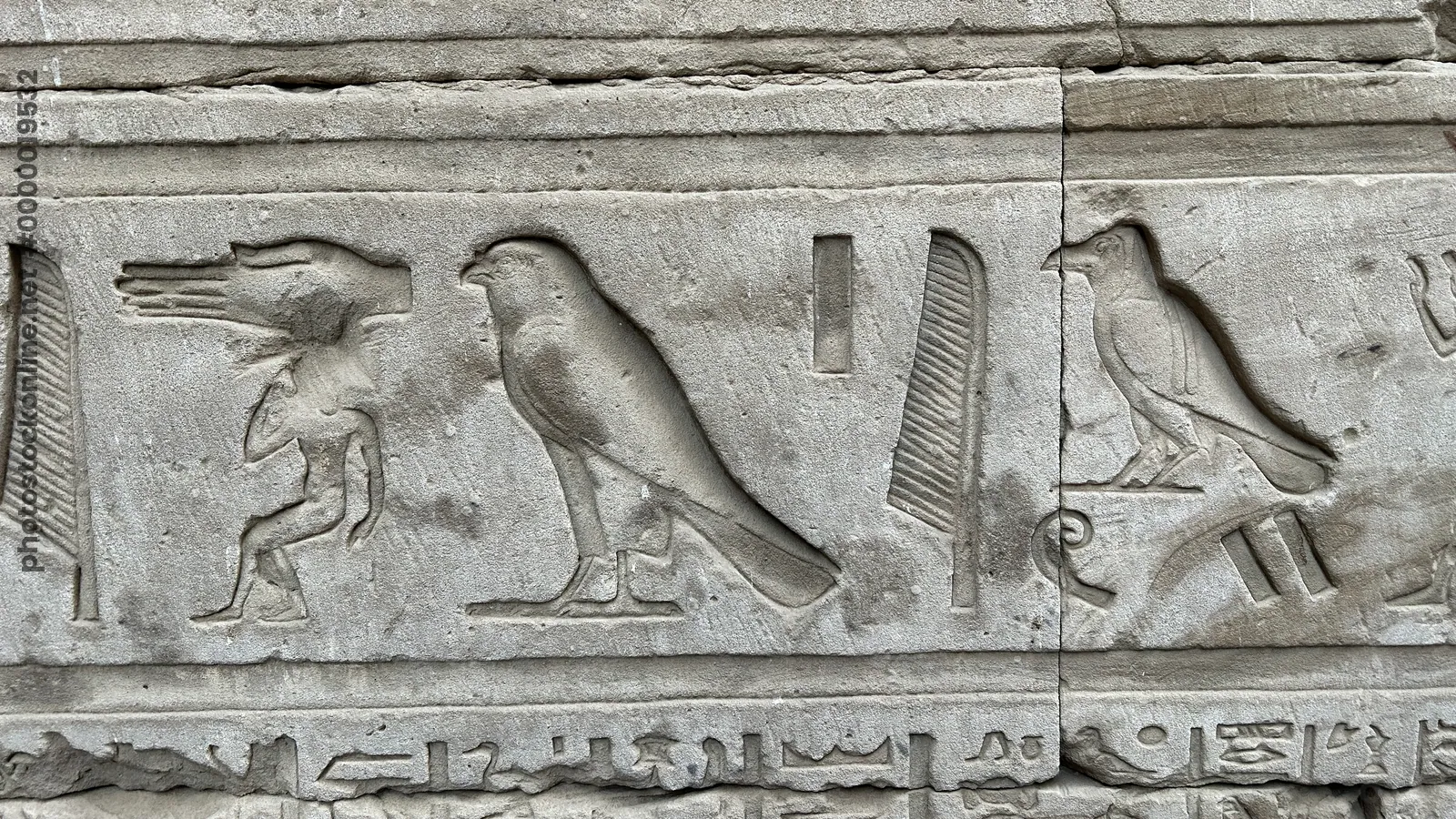 Edfu, Egypt - Feb 9, 2025: Close-up of ancient Egyptian hieroglyphs carved in stone at the Temple of Horus in Edfu, showing falcon and other figures.