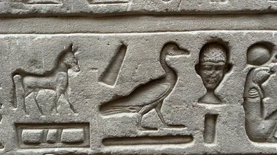 Edfu, Egypt - Feb 9, 2025: Close-up of ancient Egyptian hieroglyphs at the Temple of Horus in Edfu, depicting carved animals and human figures in stone.