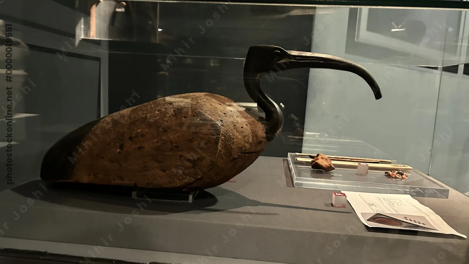 Luxor, Egypt - Feb 9, 2025: Wood and bronze statue of an ibis from Tuna el-Gebel in Egypt, a bird sacred to the god Thoth, displayed in the Luxor Museum.