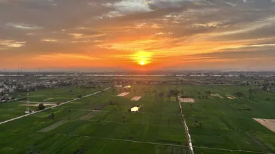 Sunrise over green agricultural fields near the Nile River in Luxor, Egypt, with farmland and glowing sky on the horizon.