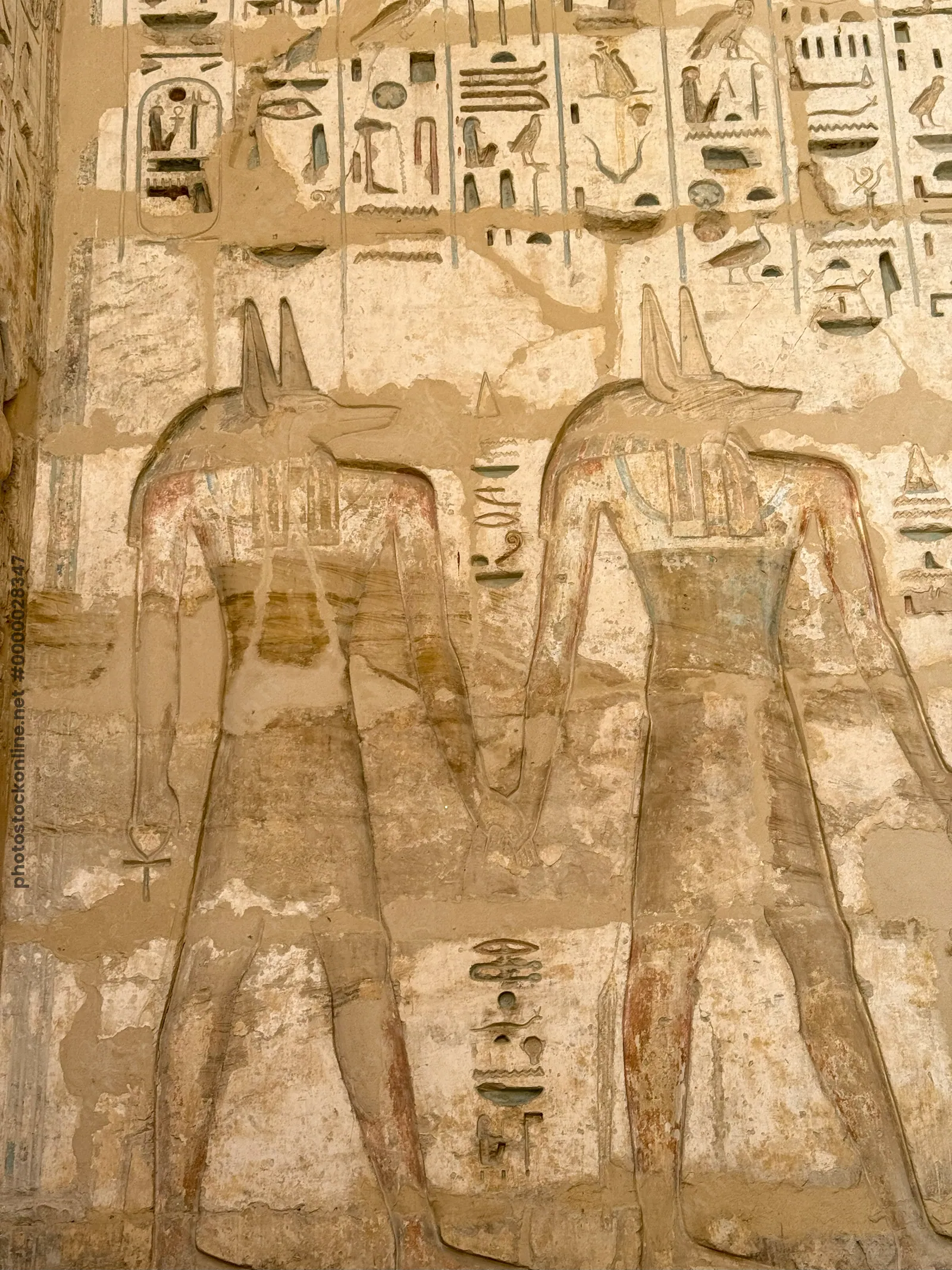 Relief of Anubis jackal-headed gods at Medinet Habu Temple in Luxor, Egypt