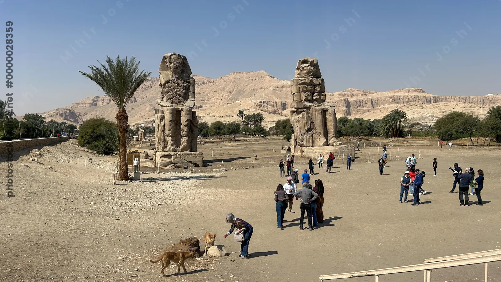 Colossi of Memnon statues at Luxor on west bank of the Nile Egypt