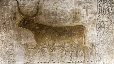 Valley of the Kings, Egypt - Feb 11, 2025: Painted relief of the Book of the Heavenly Cow with bovine figure and attendants in the Tomb of Seti I (KV1