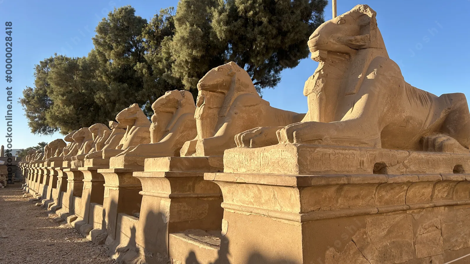 Karnak Temple, Luxor, Egypt - Feb 10, 2025: Sandstone ram-headed sphinx statues along the Western Sphinxes Alley at Karnak Temple, illuminated by even