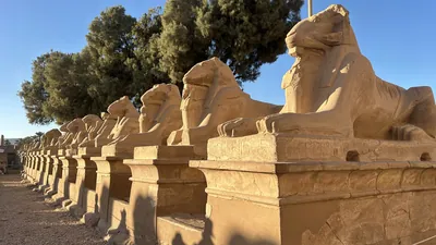 Karnak Temple, Luxor, Egypt - Feb 10, 2025: Sandstone ram-headed sphinx statues along the Western Sphinxes Alley at Karnak Temple, illuminated by even