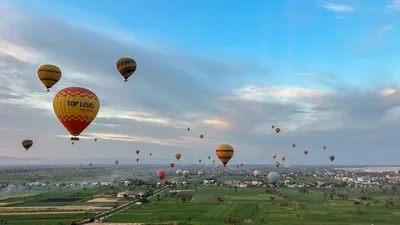 Luxor, Egypt - Feb 10, 2025: Colorful hot air balloons drifting above lush green fields at sunrise, offering a scenic aerial view of the landscape.