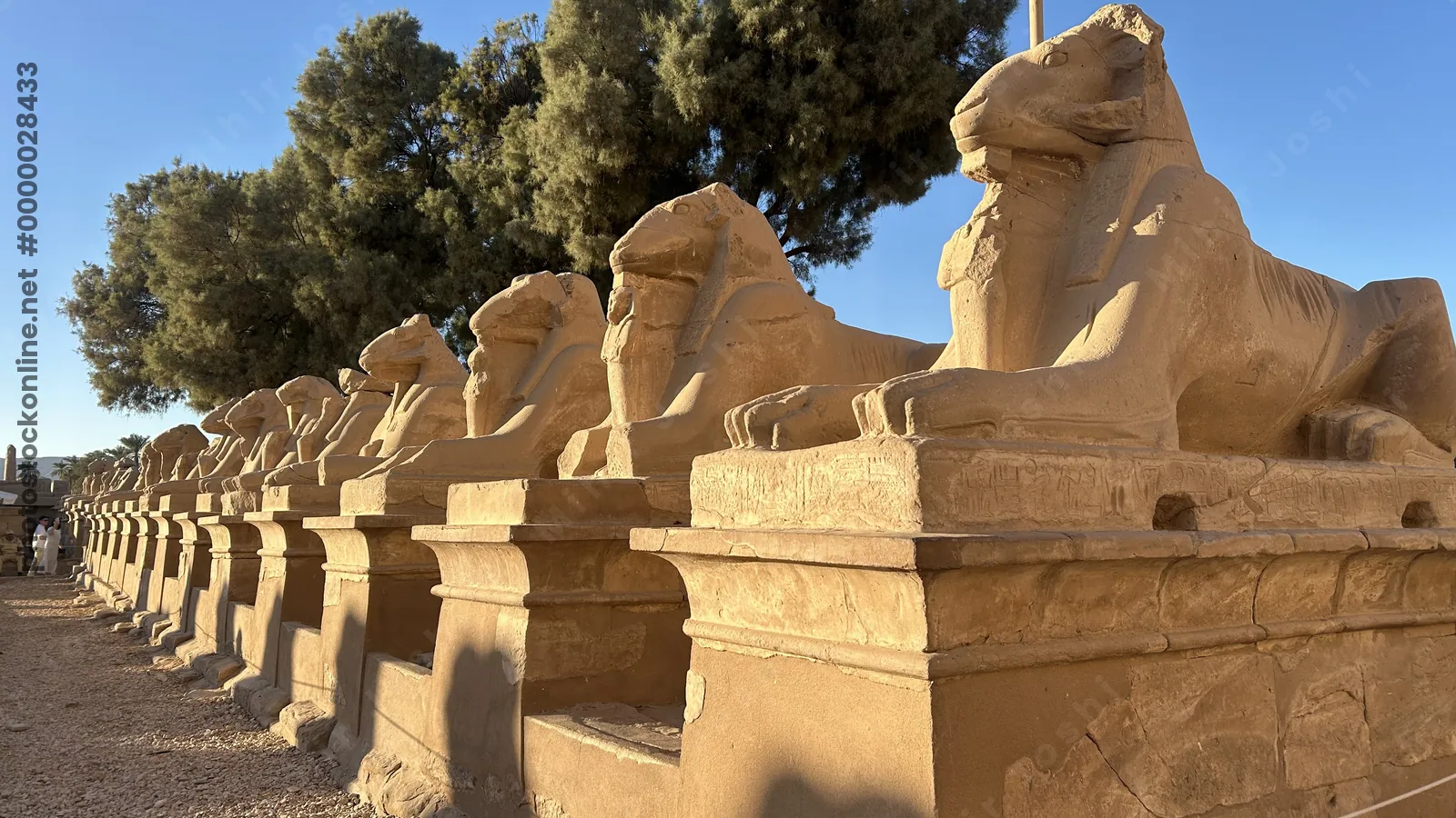 Karnak Temple, Luxor, Egypt - Feb 10, 2025: Sandstone ram-headed sphinx statues along the Western Sphinxes Alley at Karnak Temple, illuminated by even