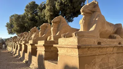 Karnak Temple, Luxor, Egypt - Feb 10, 2025: Sandstone ram-headed sphinx statues along the Western Sphinxes Alley at Karnak Temple, illuminated by even