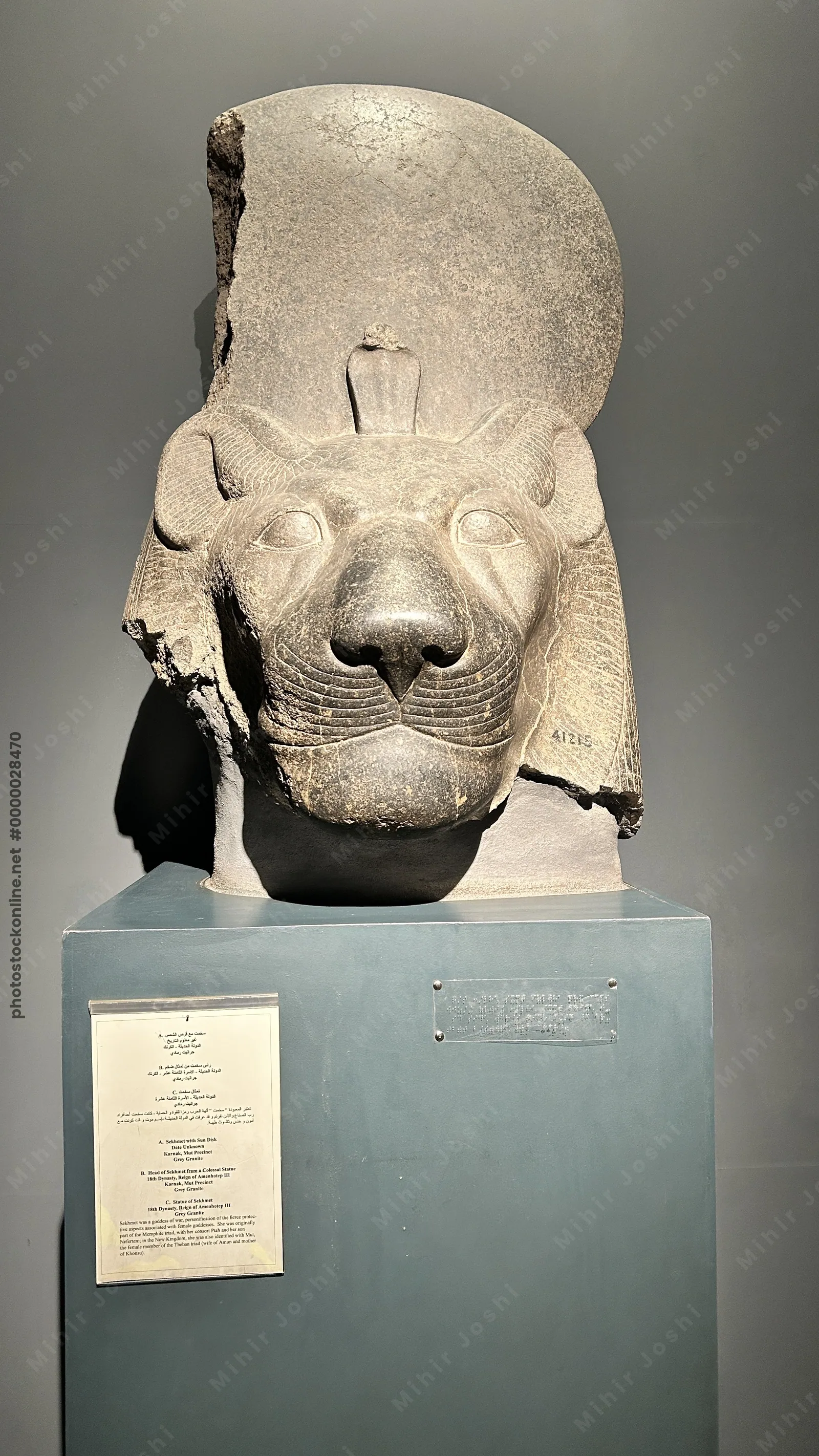 Luxor, Egypt - Feb 9, 2025: Granite head of Sekhmet, the lion-headed goddess of war and protection in ancient Egypt, displayed in the Luxor Museum.