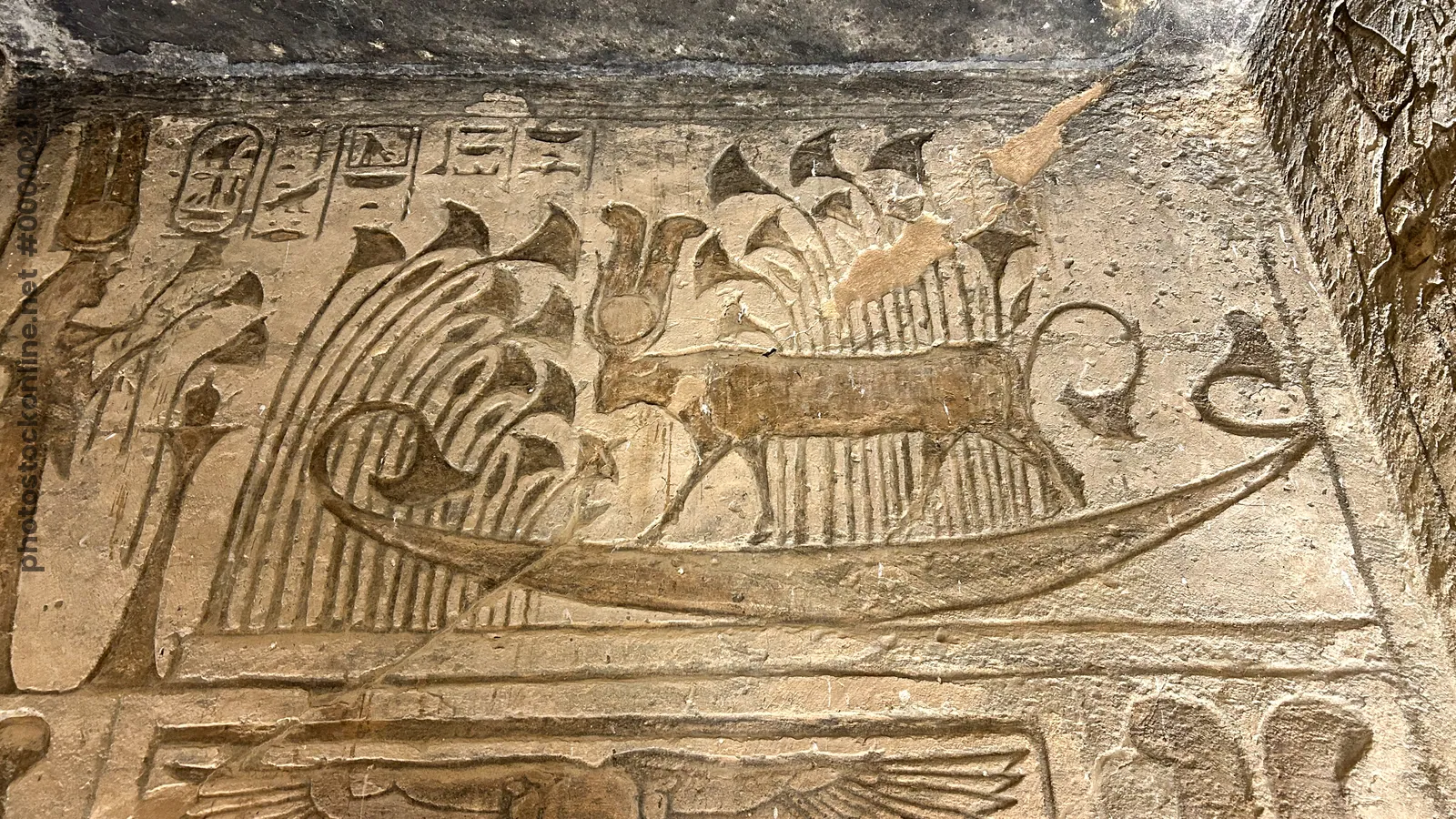 Aswan, Egypt - Feb 8, 2025: Ancient relief at Abu Simbel showing Hathor as a sacred cow with sun disk, sailing in the solar barque.