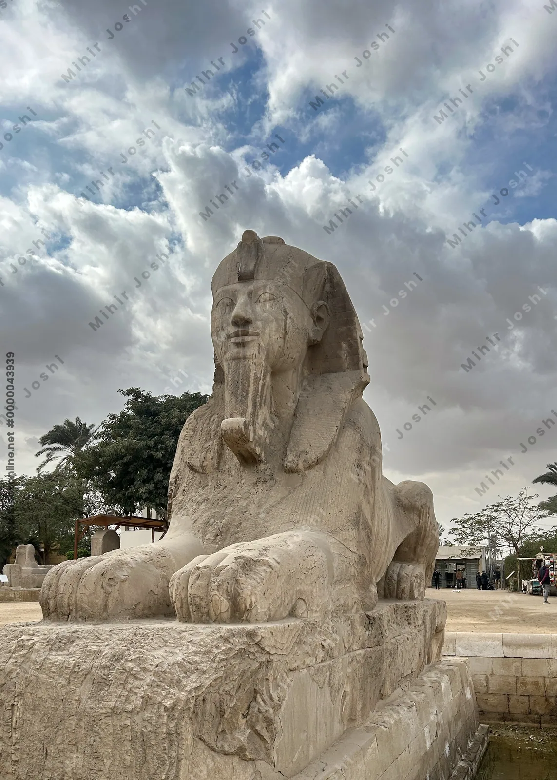 Memphis, Egypt - Feb 5, 2025: Sphinx of Memphis or Alabaster Sphinx found outside the Temple of Ptah near the remains of Memphis, Egypt