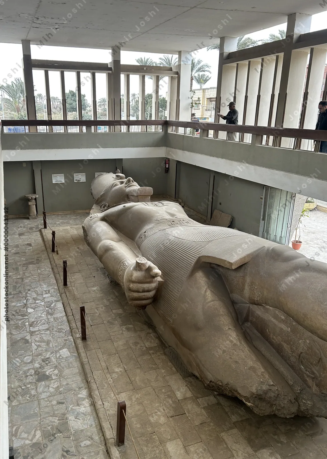 Memphis, Egypt - Feb 5, 2025: Giant statue of Pharaoh Ramesses II from the 13th century BC, lying in ruins at the open-air museum in Memphis, Egypt.