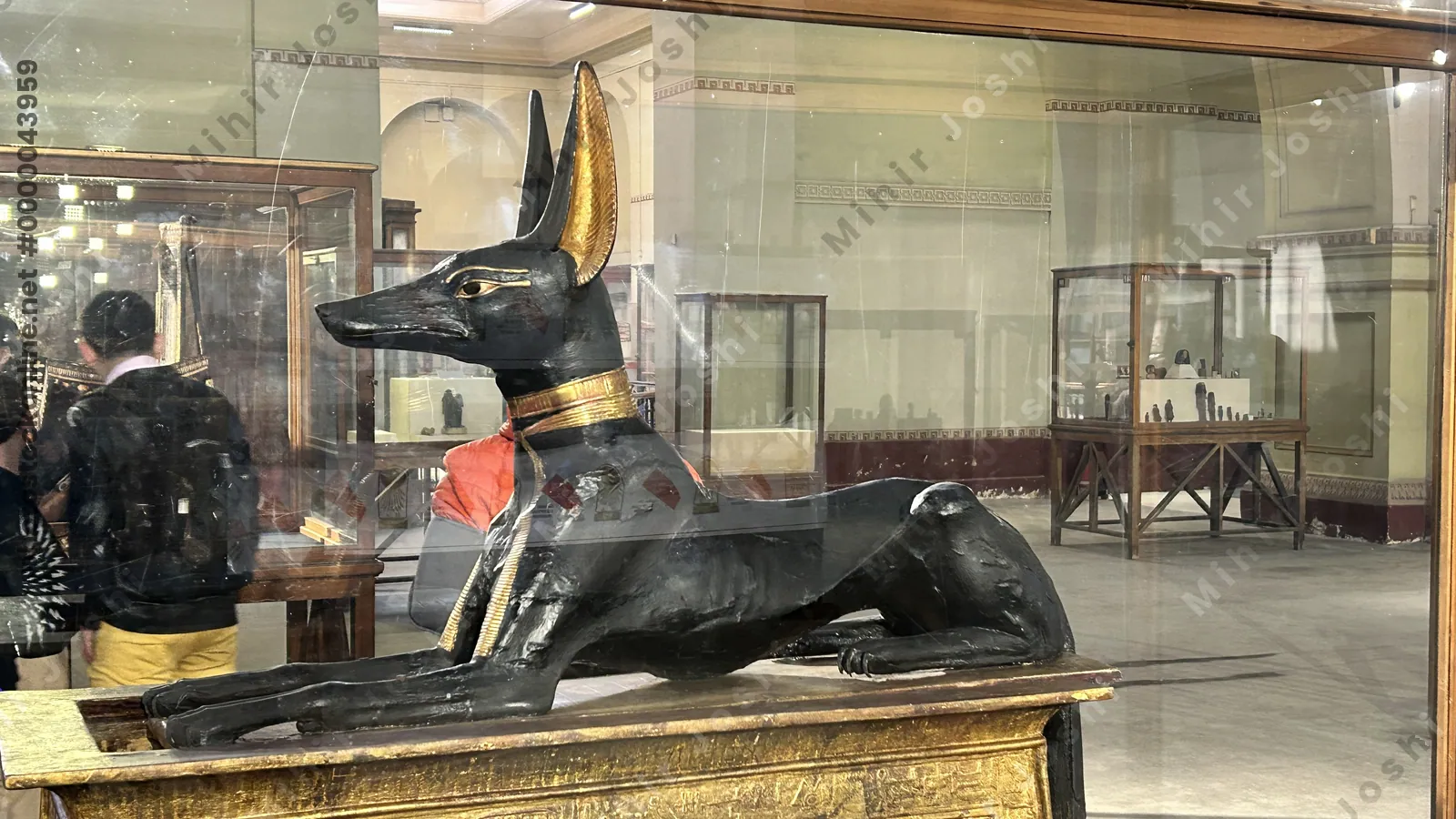 Cairo, Egypt -  Feb 4, 2025: Anubis shrine from Tutankhamun's tomb, displayed at the Egyptian Museum in Cairo.