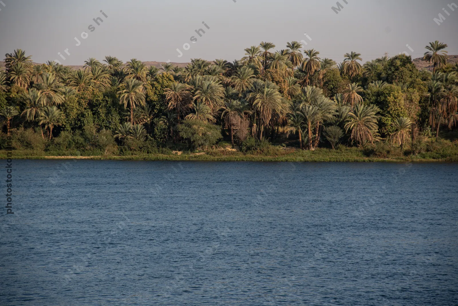 Palm-lined banks of the blue Nile River near Aswan, Egypt, showcasing lush vegetation and serene river landscape.