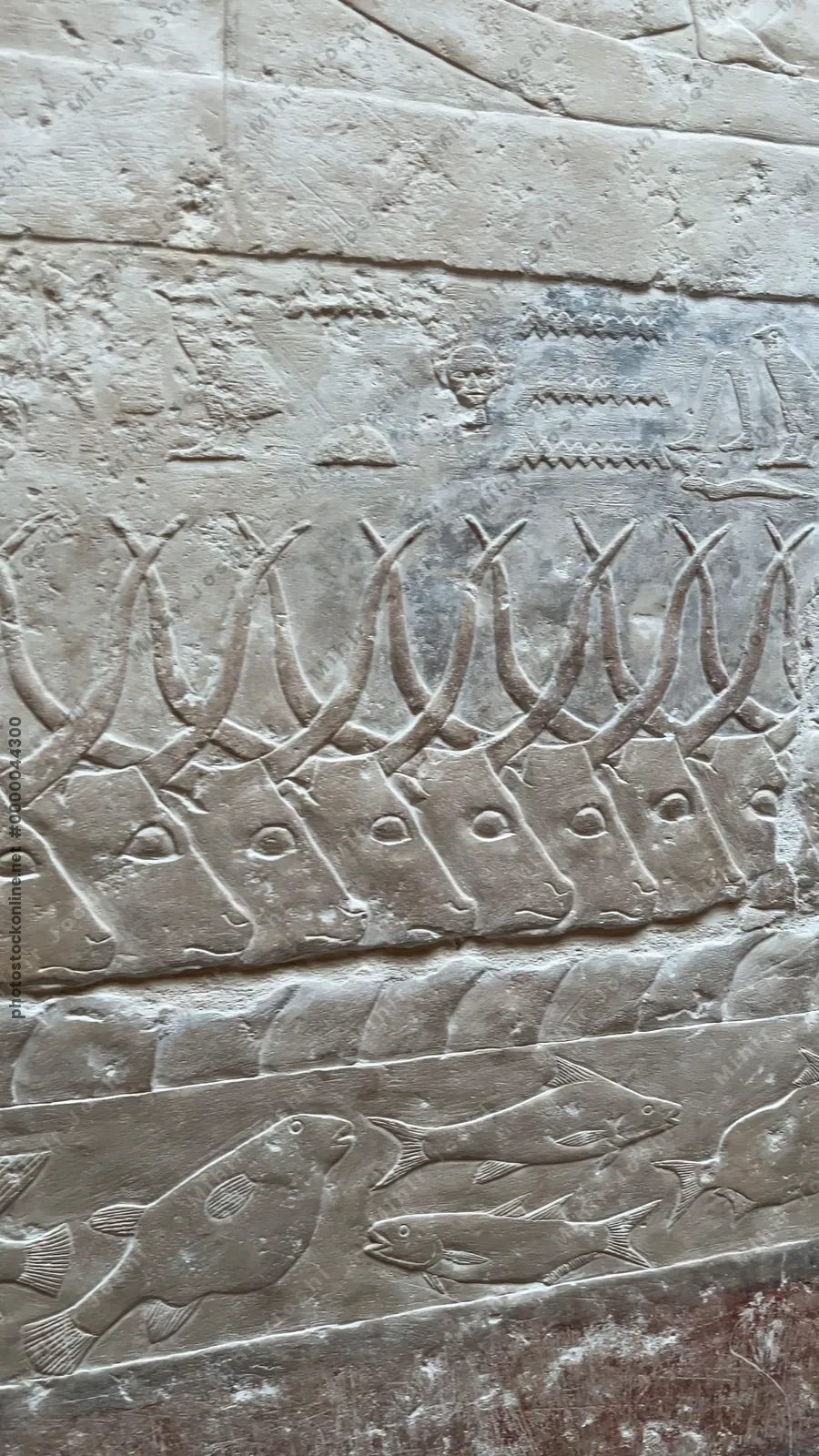 Saqqara, Egypt - Feb 5, 2024: intricate bas-reliefs in the Mastaba of Idut at Saqqara, depicting vibrant scenes of fishing and farming from ancient Egypt.