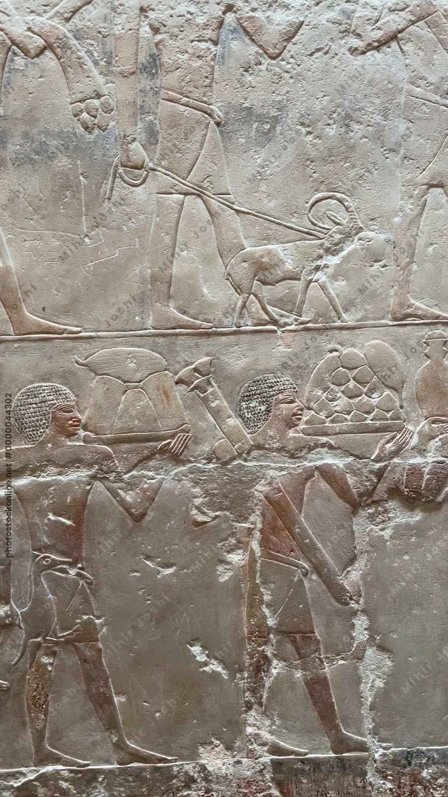 Saqqara, Egypt - Feb 5, 2024: Discover the detailed relief carving in the Mastaba of Idut at Saqqara, depicting people carrying geese, sheep, and other materials for ritual sacrifice in ancient Egypt.