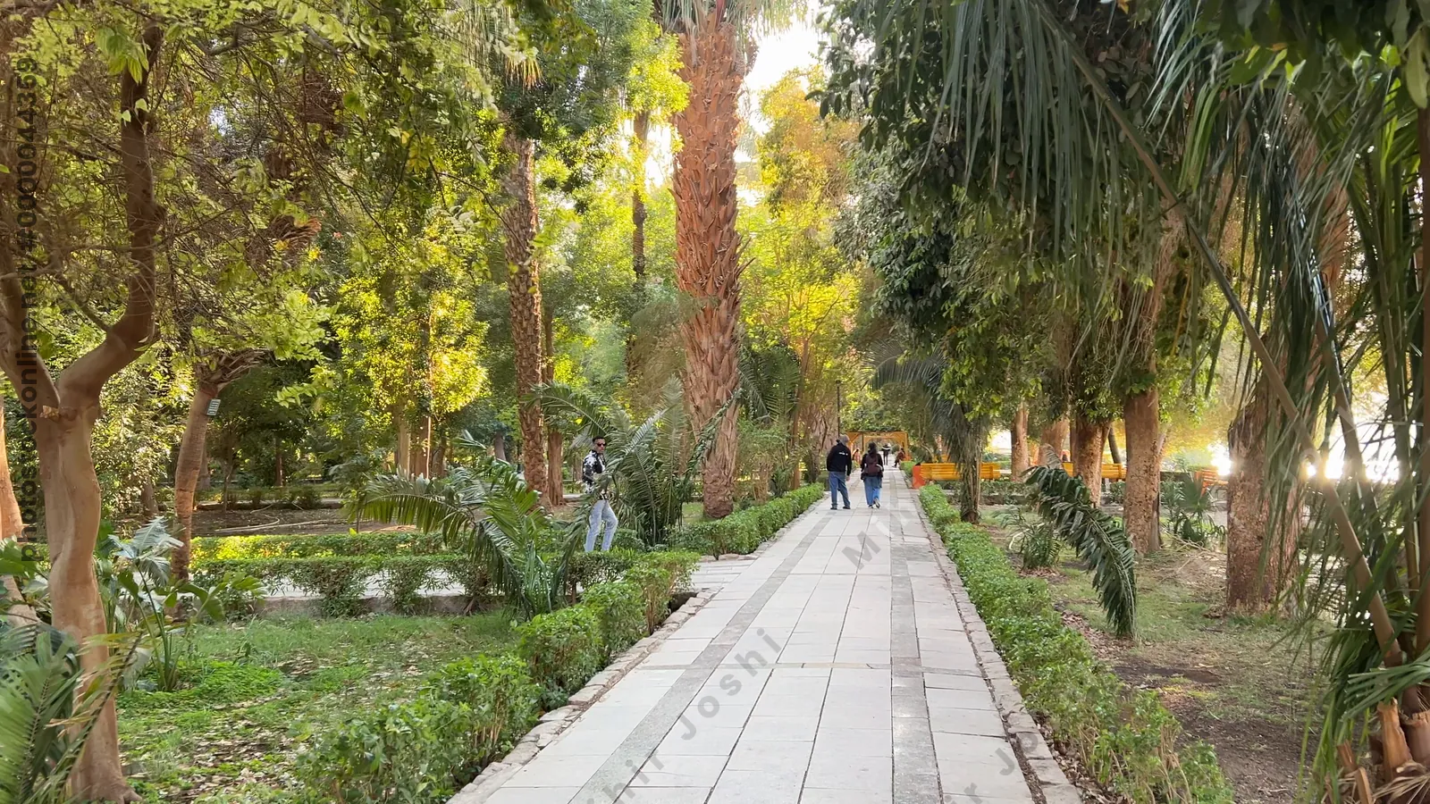 Kitchener's Island, Egypt - Feb 7, 2024: Visitors walking through the lush and scenic botanical gardens on Kitchener’s Island in Aswan, Egypt.