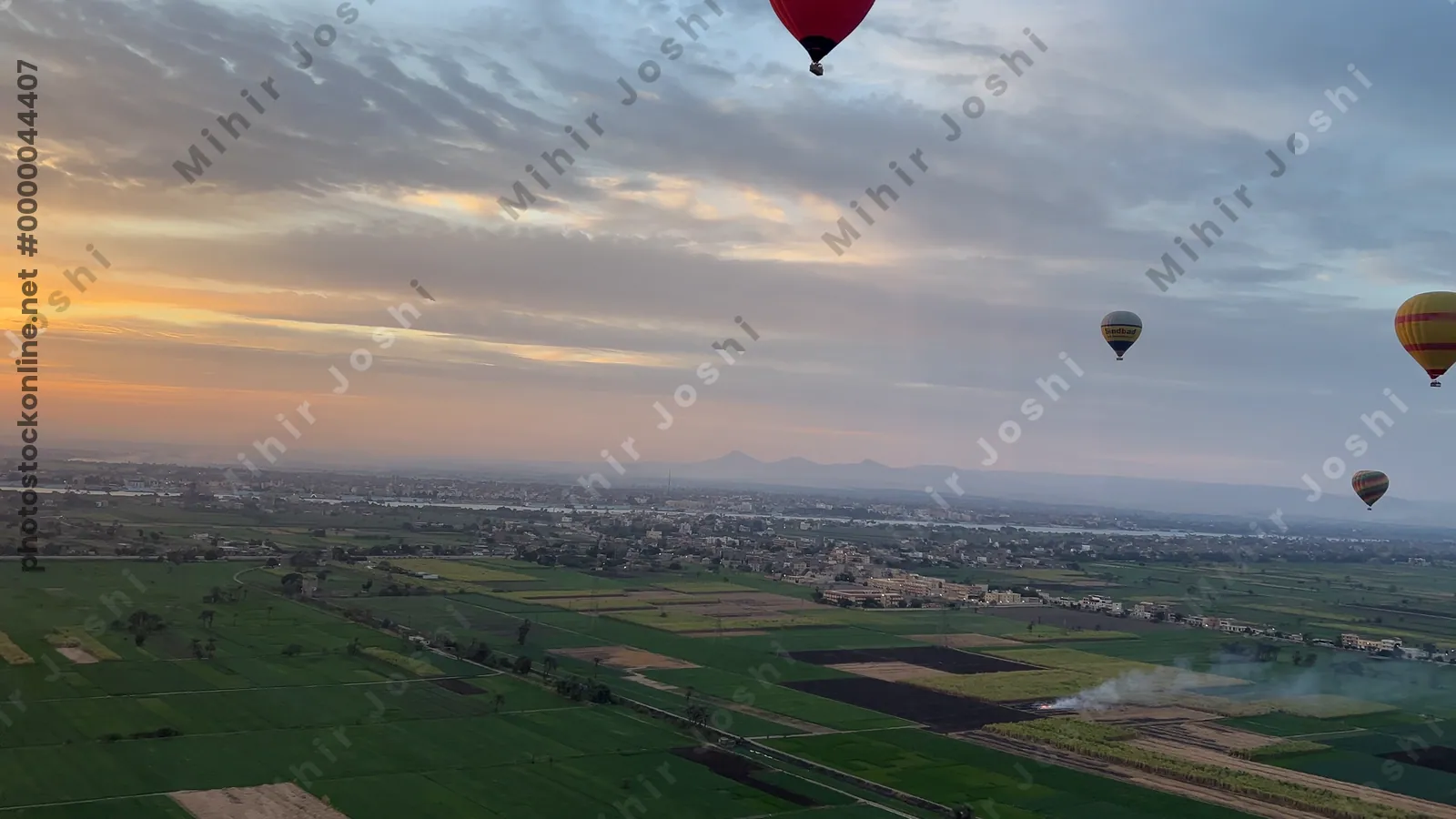 Luxor, Egypt - Feb 10, 2025: Colorful hot air balloons drifting above lush green fields at sunrise, offering a scenic aerial view of the landscape.
