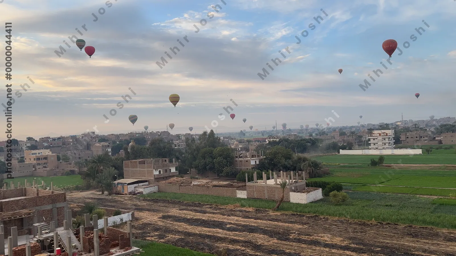 Luxor, Egypt - Feb 10, 2025: Colorful hot air balloons drifting above lush green fields at sunrise, offering a scenic aerial view of the landscape.