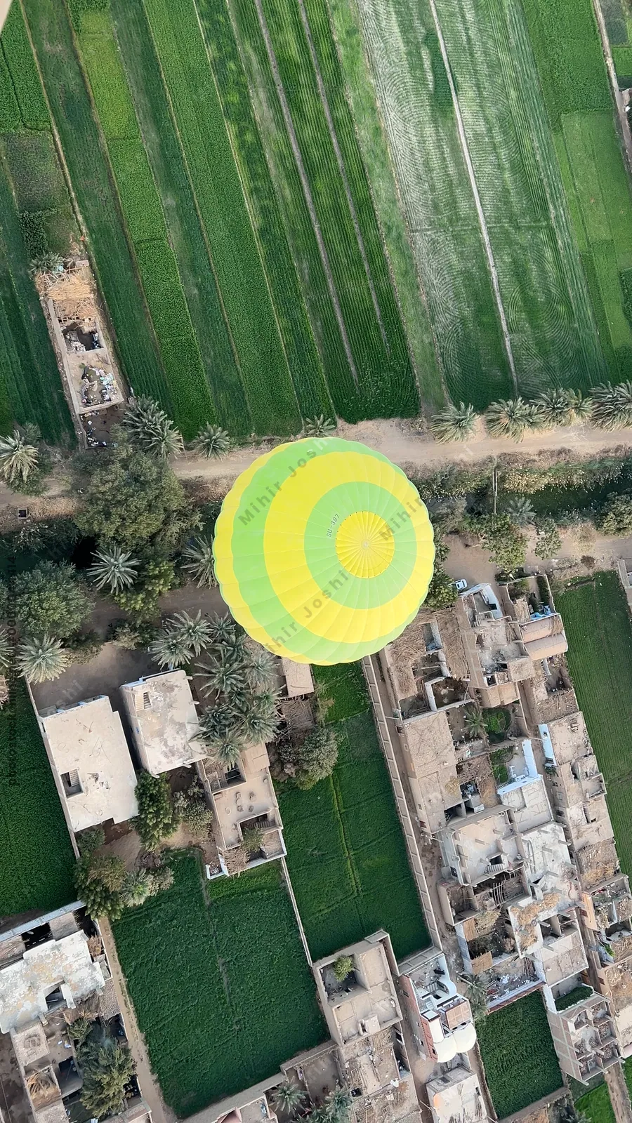 Luxor, Egypt - Feb 10, 2025: Colorful hot air balloons drifting above lush green fields at sunrise, offering a scenic aerial view of the landscape.