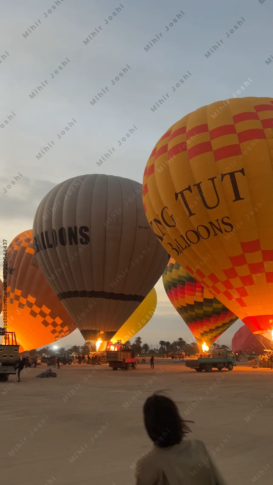 Luxor, Egypt - Feb 10, 2025: Colorful hot air balloons being inflated at dawn, preparing for a sunrise flight over the Nile Valley.