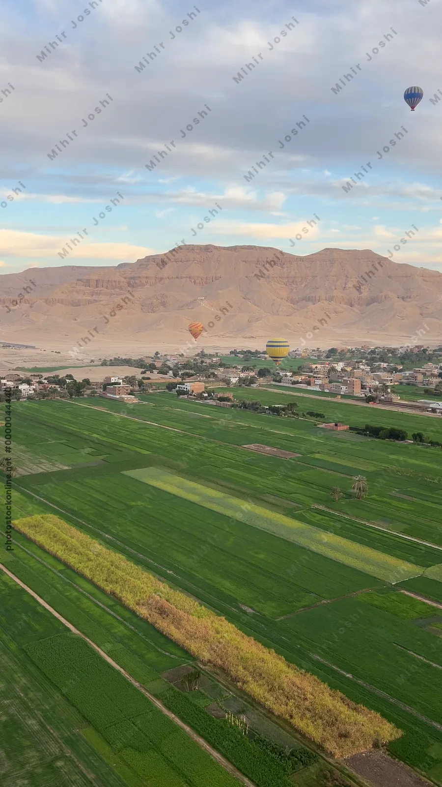 Luxor, Egypt - Feb 10, 2025: Hot air balloons at sunrise floating above green fields and cliffs of Luxor, Egypt, with the Theban mountains in the background.