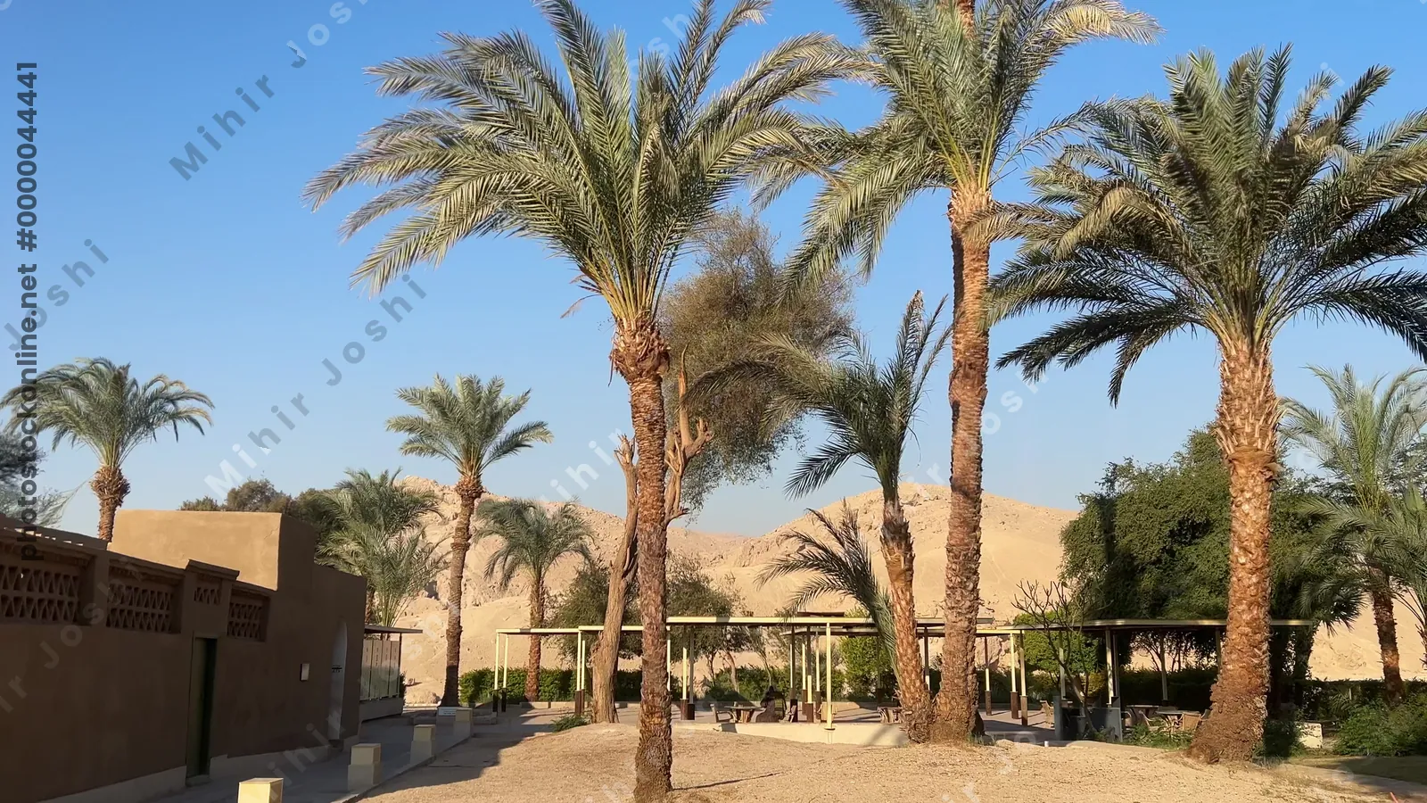 Luxor, Egypt - Feb 11, 2025: Tourists entering the historic Carter House, with palm trees and desert mountains in the background.