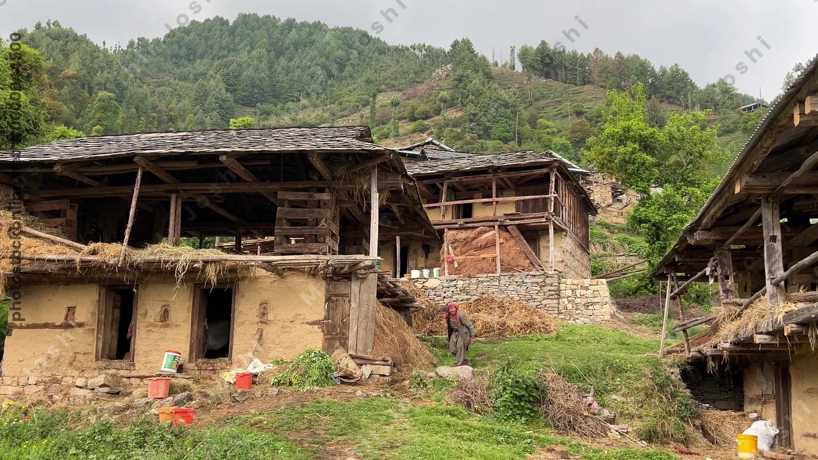 Janjehli, Himachal Pradesh, India - May 7, 2025:  Traditional rural houses and a local farmer in a Himalayan village in Janjehli, Mandi district, Himachal Pradesh, India.