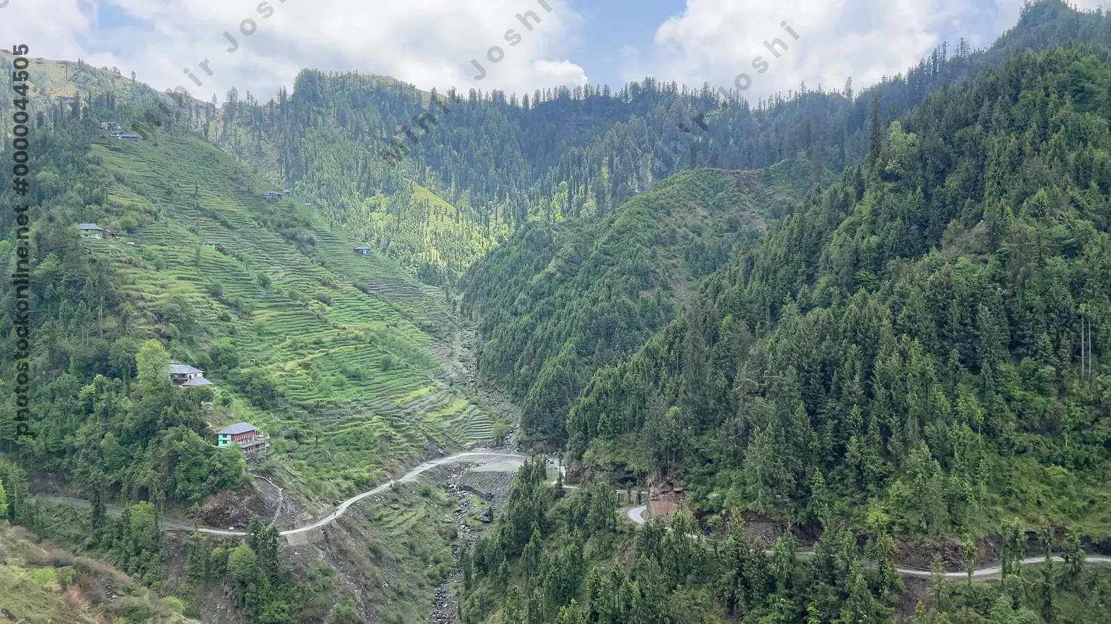 View of terraced hills, forested slopes and winding mountain road with scattered houses in Janjehli valley, Mandi district, Himachal Pradesh, India.