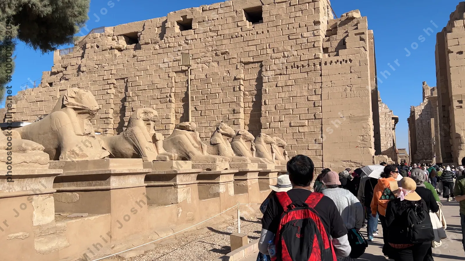 Luxor, Egypt - Feb 10, 2025: Footage of the Avenue of Sphinxes and the grand entry into Karnak Temple in Luxor, Egypt, with ancient carvings and monumental ruins.