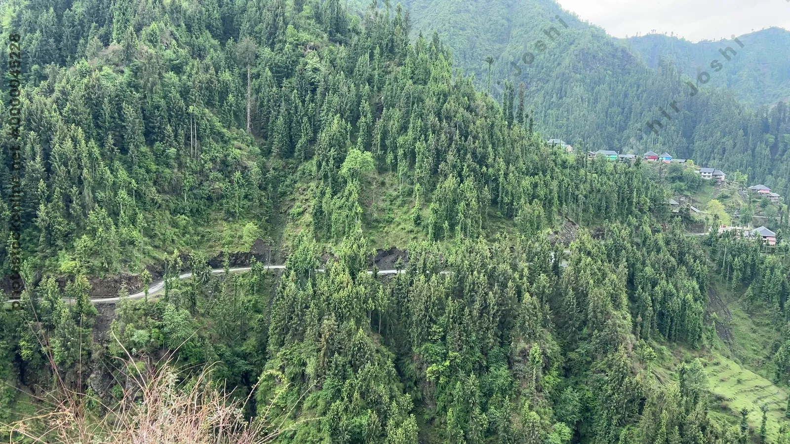 Winding mountain road overlooking terraced hills, forested slopes and stream in Janjehli valley, Mandi district, Himachal Pradesh, India.